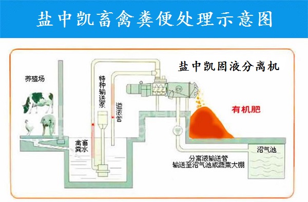 茄子视频APP在线