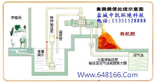 茄子视频在线下载示意图